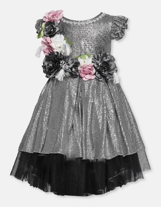 Black & Silver Fancy Frock